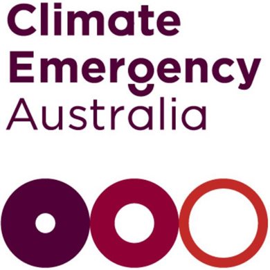Governing in Climate Emergency - training for Leaders