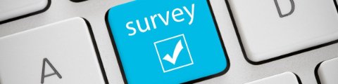 Complete the SAT 2025 Local Government Survey