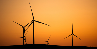 Draft Renewable Energy Planning Code - information for Members