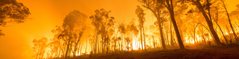 WA Bushfire Conference – Ignite Change in 2024