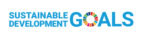 United Nations Sustainable Development Goals webinar for Local Government