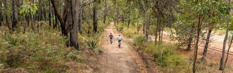 Collie and Dwellingup awarded Trail Town status