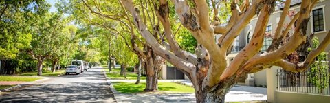 Perth and Peel Urban Greening Strategy - Elected Member Consultation Workshop