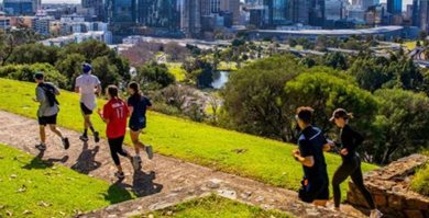 Submit your Local Government Public Health Plans