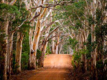 RoadWise Recognised