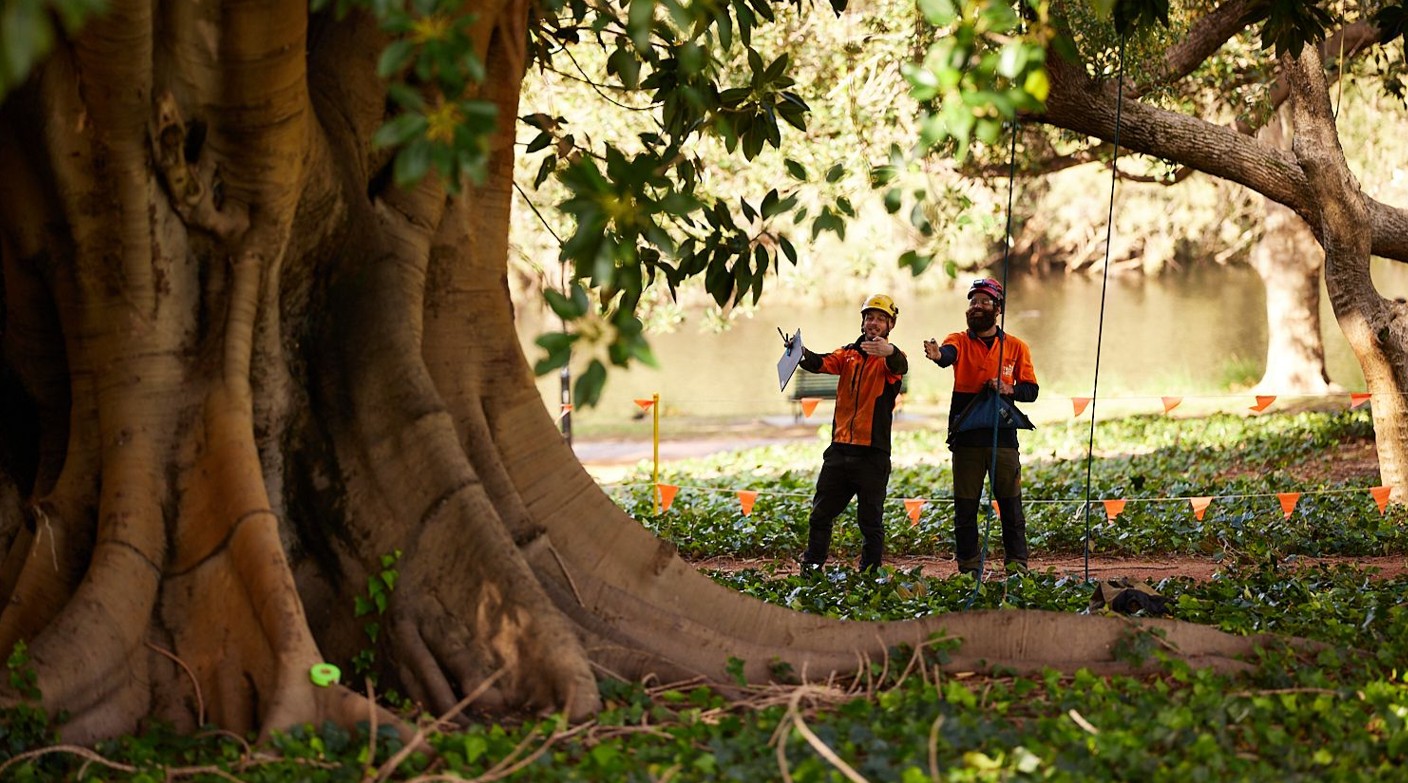 Polyphagous Shot-Hole Borer Field Day