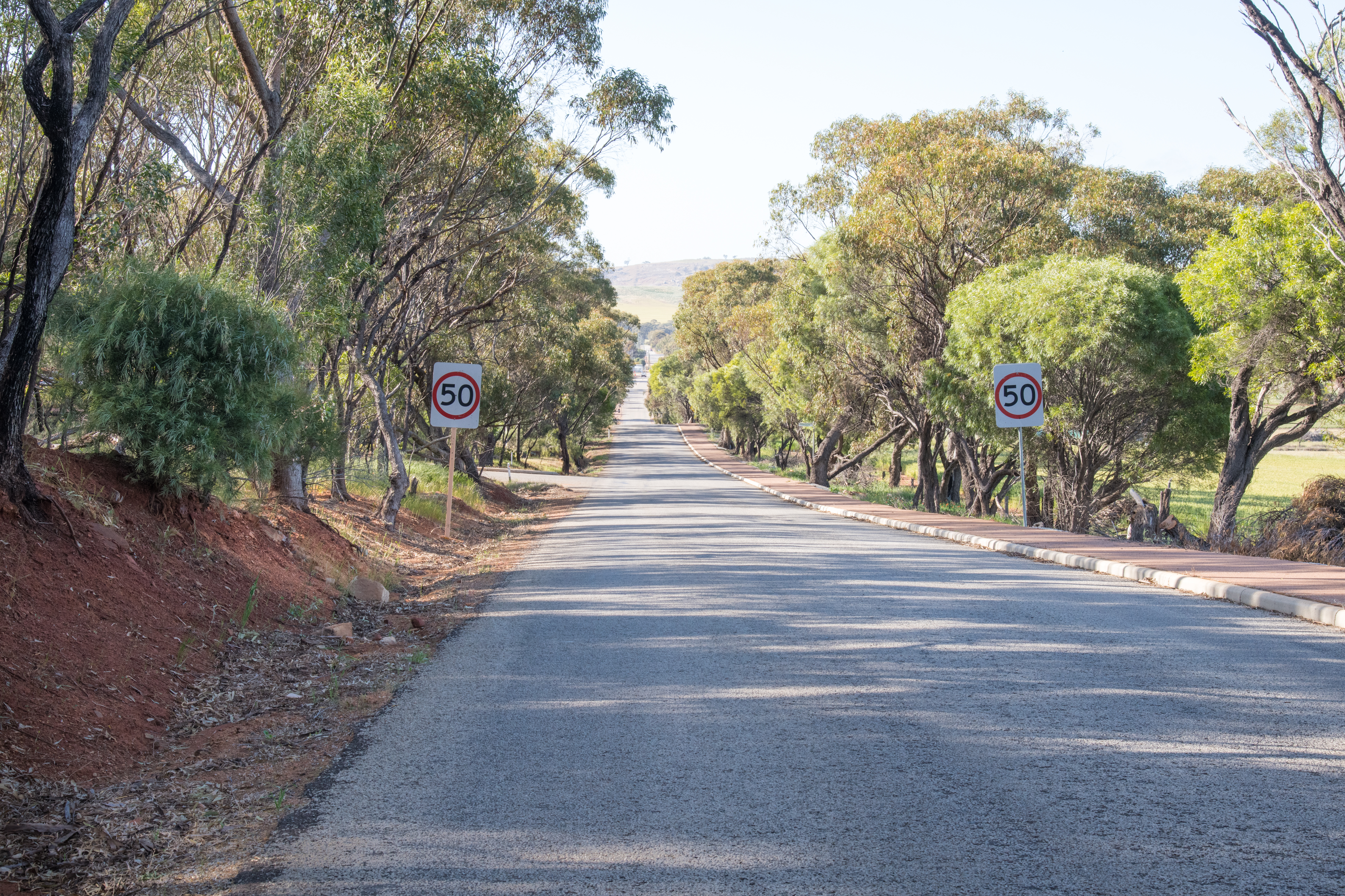Native Vegetation Webinar Series