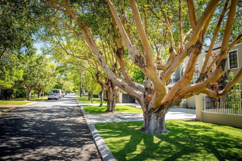 Climate Change Consultation