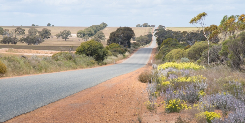 Native Vegetation Regulations Masterclass
