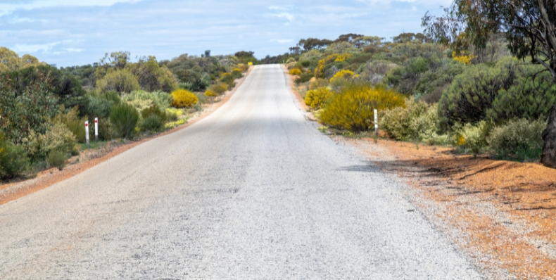 Roadside Vegetation Management Field Day – Shire of Dumbleyung