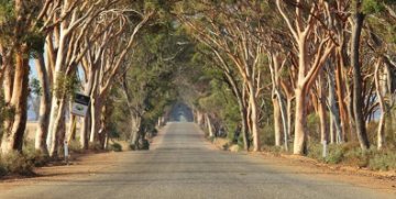 Roadside Vegetation Management Field Day - City of Kwinana