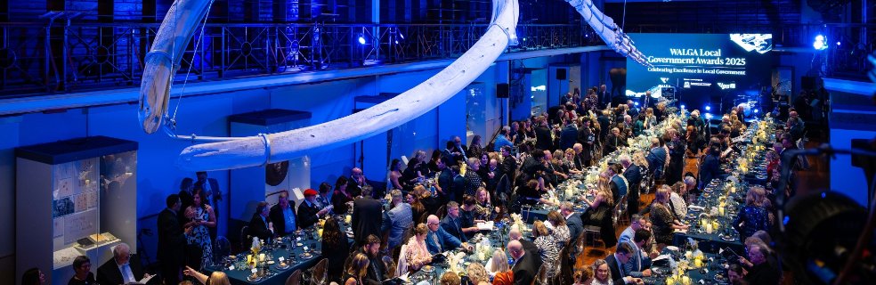 Local Government Honours Awards