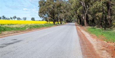 Transport and Roads Research and Innovation Program