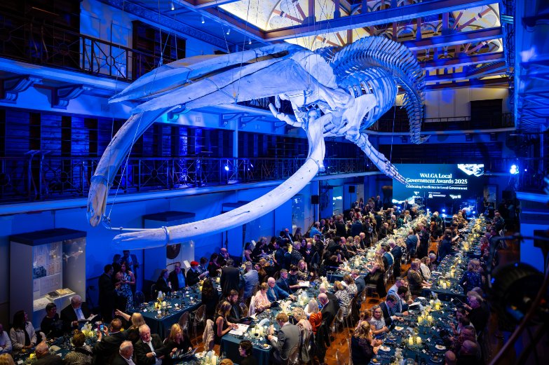 Local Government Honours Awards