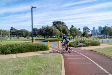 Active Transport