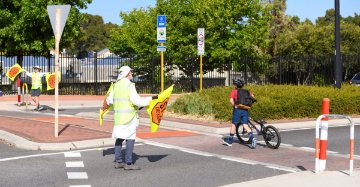 Road Safety and Transport