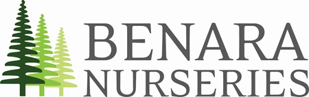 Benara Nurseries