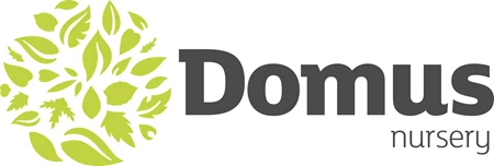 Domus Nursery