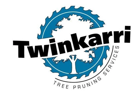Twinkarri