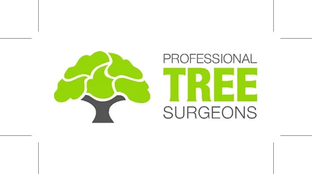 Professional Tree Surgeons