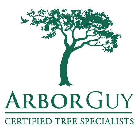 Arbor Guy
